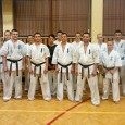 Klubowe Seminarium Karate Kyokushin w Łososinie Górnej Klubowe Seminarium Karate Kyokushin w Łososinie Górnej