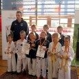 Gmina Mszana Dolna: Taekwondziści z medalami Gmina Mszana Dolna: Taekwondziści z medalami