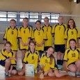 Mistrzostwa Gminy Mszana Dolna w mini siatkówce dziewcząt szkół podstawowych Mistrzostwa Gminy Mszana Dolna w mini siatkówce dziewcząt szkół podstawowych