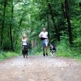 Dogtrekking podczas Limanowskiego Pikniku Majowego