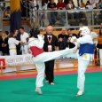 Turniej Karate Kyokushin Dzieci i Młodzieży „One World One Kyokushin” w Limanowej - 2014 za nami (zdjęcia - wyniki)
