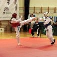 IV Turniej Karate o Puchar Solny, 7 czerwca 2014 r. Wieliczka