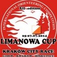 „Limanowa Cup” w międzynarodowej obsadzie