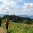 Wakacyjna wyprawa na Miejską Górę