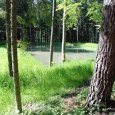 Woda sprzyja bioróżnorodności