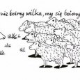 My się nie boimy wilka, my się boimy  PiS-u