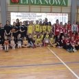 Olszowianki wicemistrzyniami powiatu