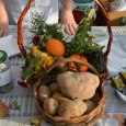 Jubileuszowe 5 Święto Ziemniaka w Starej Wsi