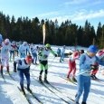 Podziękowania III Ogólnopolski Bieg Gorców i Beskidów