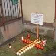 Znicze obok Pałacu pod Pszczółką