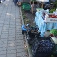 Smutny los limanowskich rolników