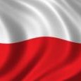 Przedwyborcze refleksje