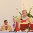 Na chwałę Trójcy Świętej - Jubileusz 25- lecia Parafii w Starej Wsi Na chwałę Trójcy Świętej - Jubileusz 25- lecia Parafii w Starej Wsi