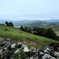 El Camino de Santiago - odc. 5 pt. „Ileeeee za prysznic?” El Camino de Santiago - odc. 5 pt. „Ileeeee za prysznic?”