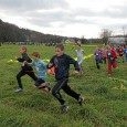Bieg niepodległości w Młynnem - wyniki Bieg niepodległości w Młynnem - wyniki