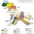 Jednomandatowe okręgi wyborcze w Gminie Limanowa Jednomandatowe okręgi wyborcze w Gminie Limanowa