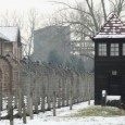 HOLOCAUST? HOLOCAUST?
