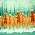 In vitro – płytka empatia In vitro – płytka empatia