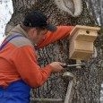 Nowe budki dla kwiczołów i zięb w Mszanie Dolnej Nowe budki dla kwiczołów i zięb w Mszanie Dolnej