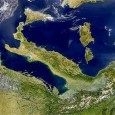 Postęp po europejsku – cz. IV  „Zwierzaki ponad wszystko”