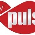 Oglądalność TV Puls