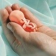 Podsumowanie akcji obywatelskiego sprzeciwu wobec prób refundacji in vitro w Małopolsce Podsumowanie akcji obywatelskiego sprzeciwu wobec prób refundacji in vitro w Małopolsce