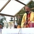 Leśna armia Leśna armia