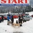 I Dogtrekking FRIKAJ 2013 – relacja z imprezy i wyniki I Dogtrekking FRIKAJ 2013 – relacja z imprezy i wyniki